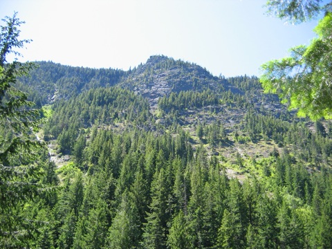 IMG_1410.JPG