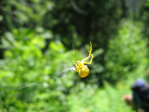 IMG_1424.JPG