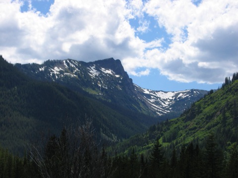 IMG_1436.JPG