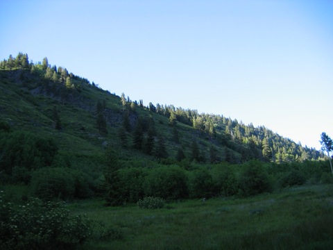 IMG_1465.JPG