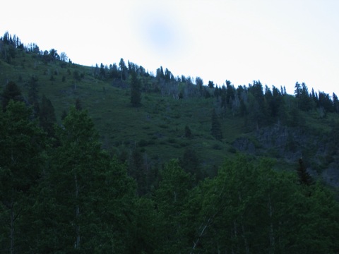 IMG_1496.JPG