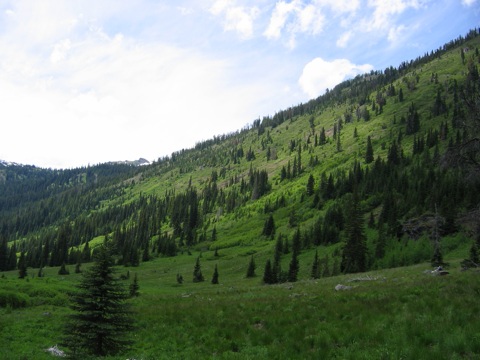 IMG_1502.JPG