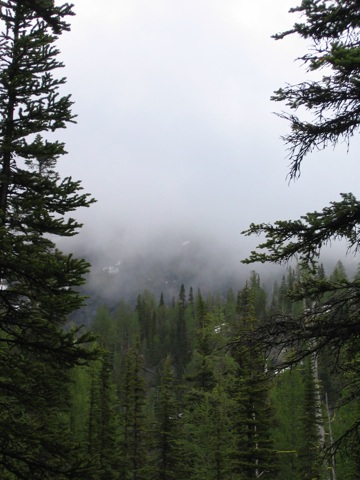 IMG_1510.JPG