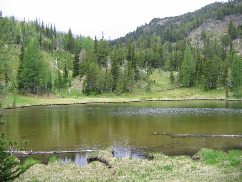 IMG_1512.JPG
