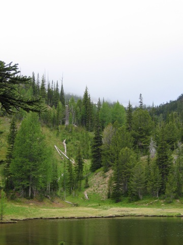 IMG_1513.JPG