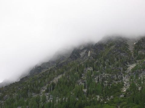 IMG_1517.JPG