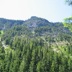 IMG_1410.JPG