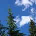 IMG_1459.JPG