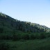 IMG_1465.JPG