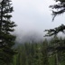 IMG_1510.JPG