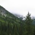 IMG_1518.JPG