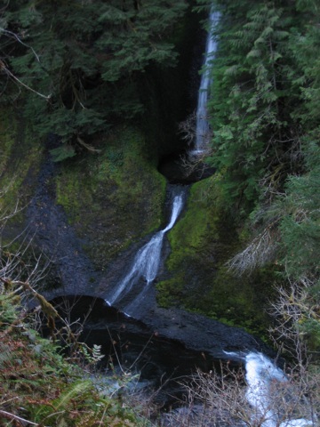 IMG_1173.JPG