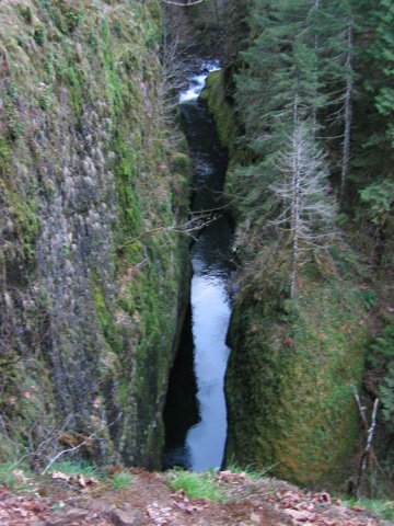 IMG_1176.JPG