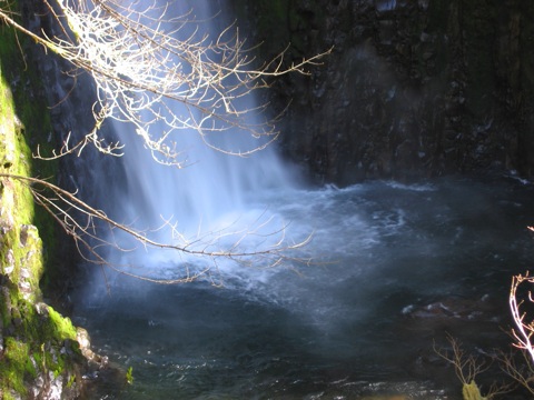 IMG_1182.JPG