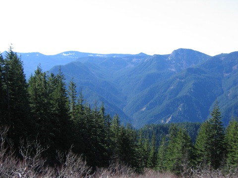 IMG_1200.JPG