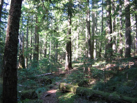 IMG_1207.JPG