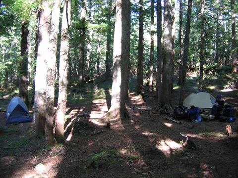 IMG_1218.JPG