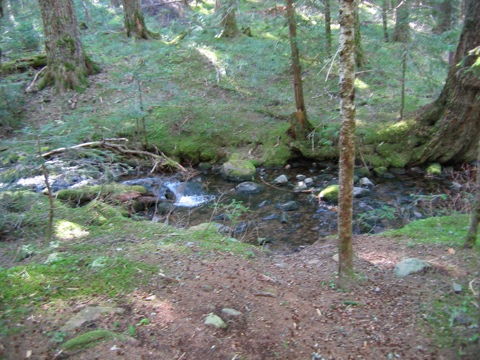 IMG_1220.JPG
