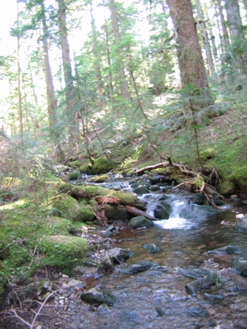 IMG_1222.JPG