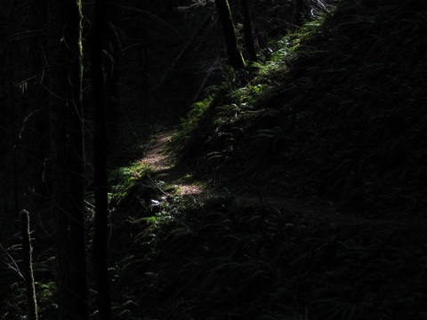 IMG_1241.JPG