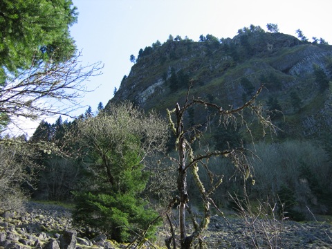 IMG_1245.JPG