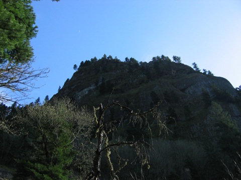 IMG_1246.JPG