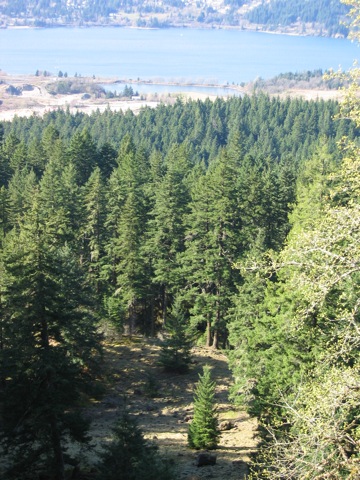 IMG_1249.JPG