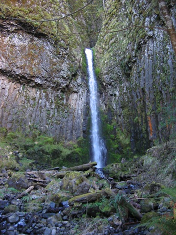 IMG_1258.JPG