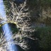 IMG_1183.JPG